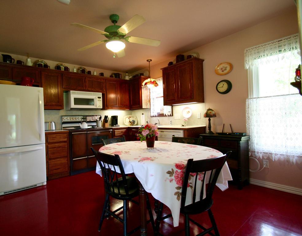 Onion Creek Cottage Austin Dış mekan fotoğraf