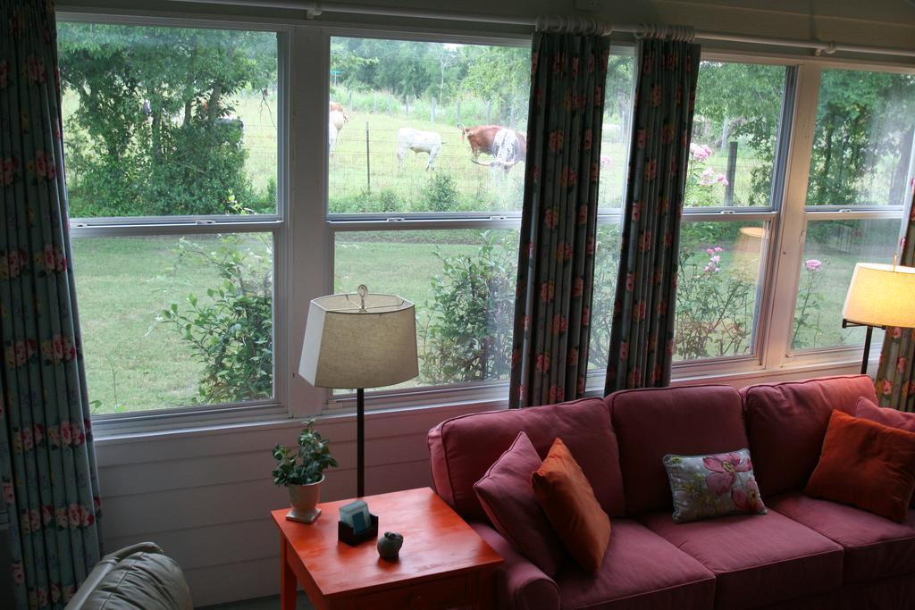 Onion Creek Cottage Austin Dış mekan fotoğraf